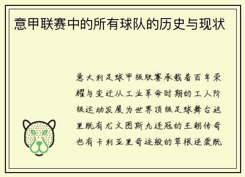 意甲联赛中的所有球队的历史与现状