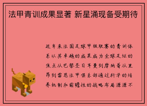 法甲青训成果显著 新星涌现备受期待