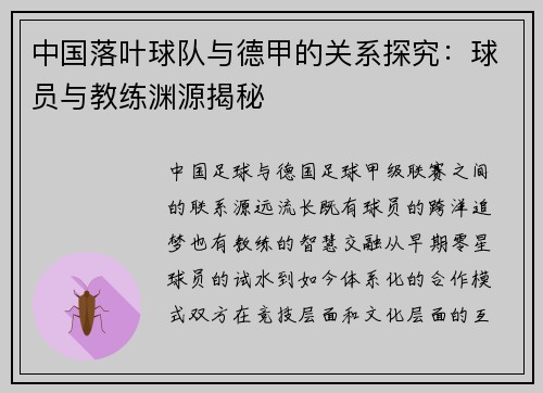 中国落叶球队与德甲的关系探究：球员与教练渊源揭秘
